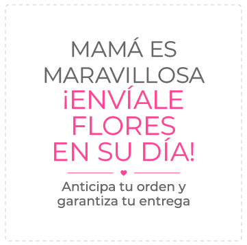 Oferta en Guatemala