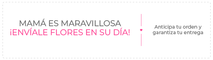 Oferta en Guatemala