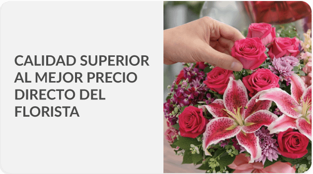 Envía a todo Guatemala
