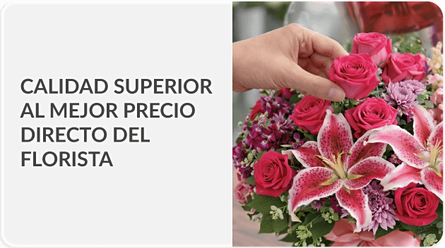 Envía a todo Guatemala